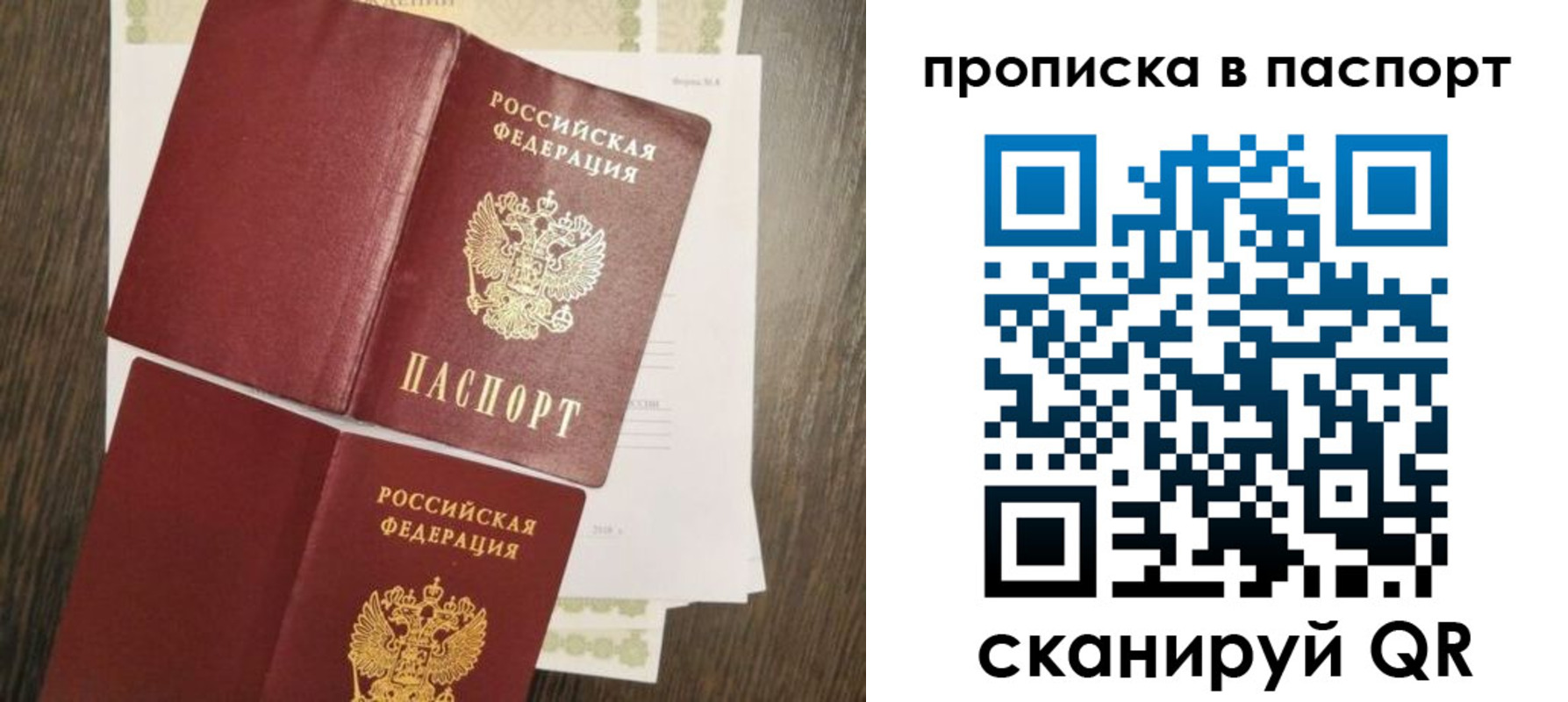 прописка гарантия в Новодвинске