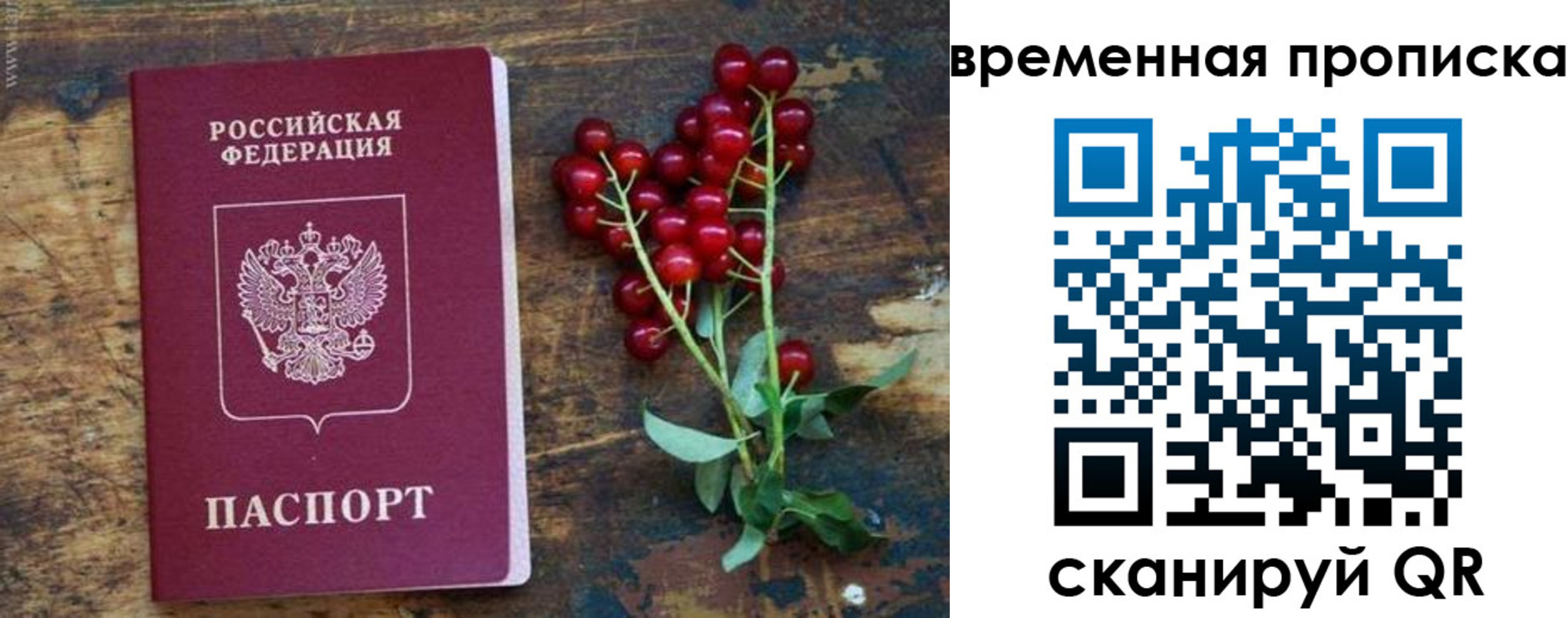 временная регистрация гарантия в Новодвинске